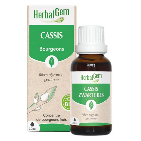 Cassis BIO Macérat mère Bourgeons 30 ml HERBALGEM