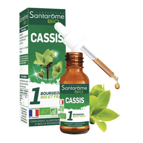 Cassis BIO Macérat de bourgeons Flacon 30 ml SANTAROME