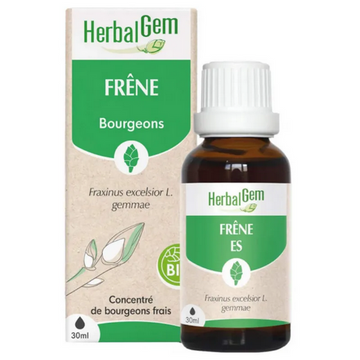 Frene BIO Macérat mère bourgeons Flacon 30 ml HERBALGEM