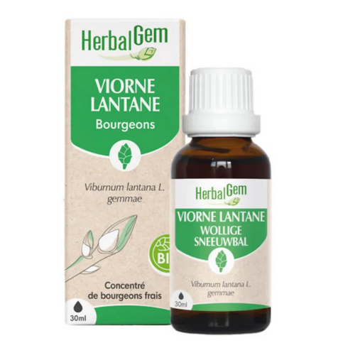 Viorne BIO Macérat mère Flacon 30 ml HERBALGEM