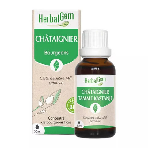 Chataignier BIO Macerat mère Bourgeons Flacon 30 ml HERBALGEM