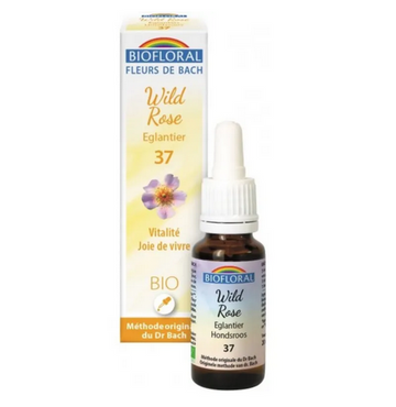Fleur de Bach BIO Wild rose (Églantier) Flacon 20 ml BIOFLORAL