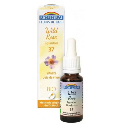 Fleur de Bach BIO Wild rose (Églantier) Flacon 20 ml BIOFLORAL